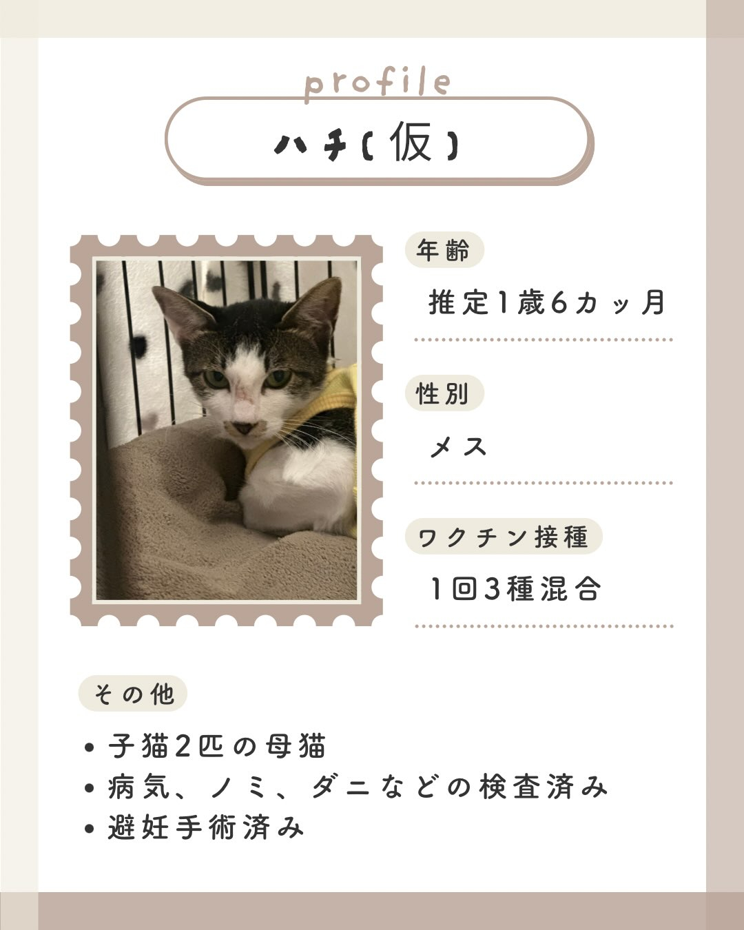 ⁡