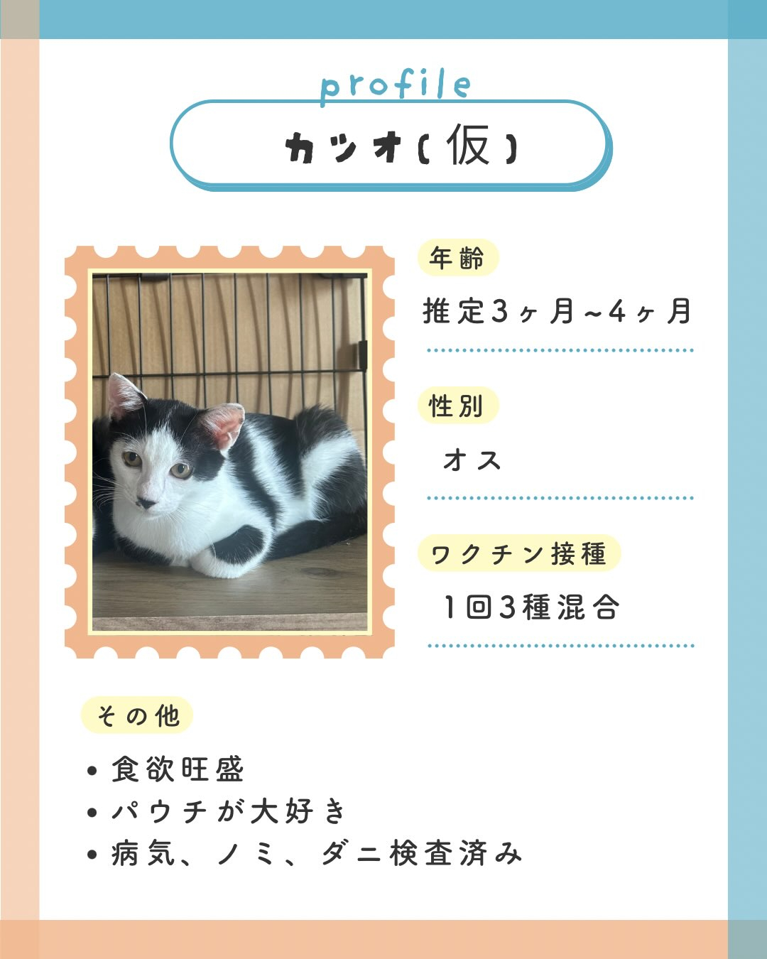 ⁡