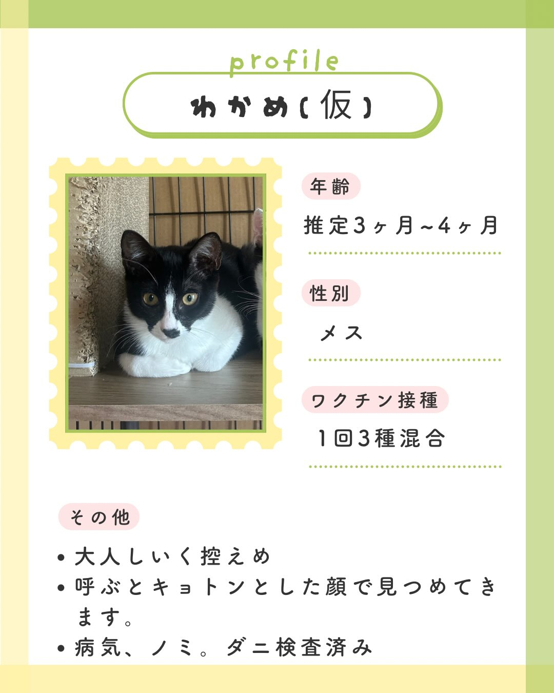 ⁡