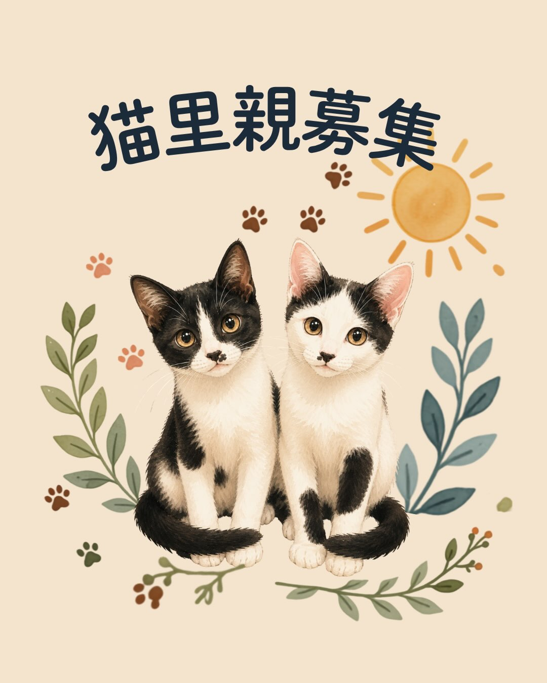 ⁡